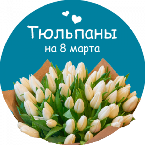 Купить тюльпаны в Мурманске